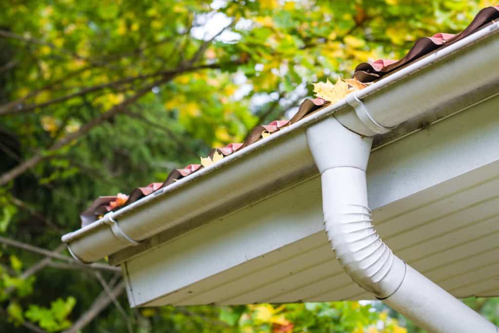 Tile roof edge draining into a white gutter and downspout